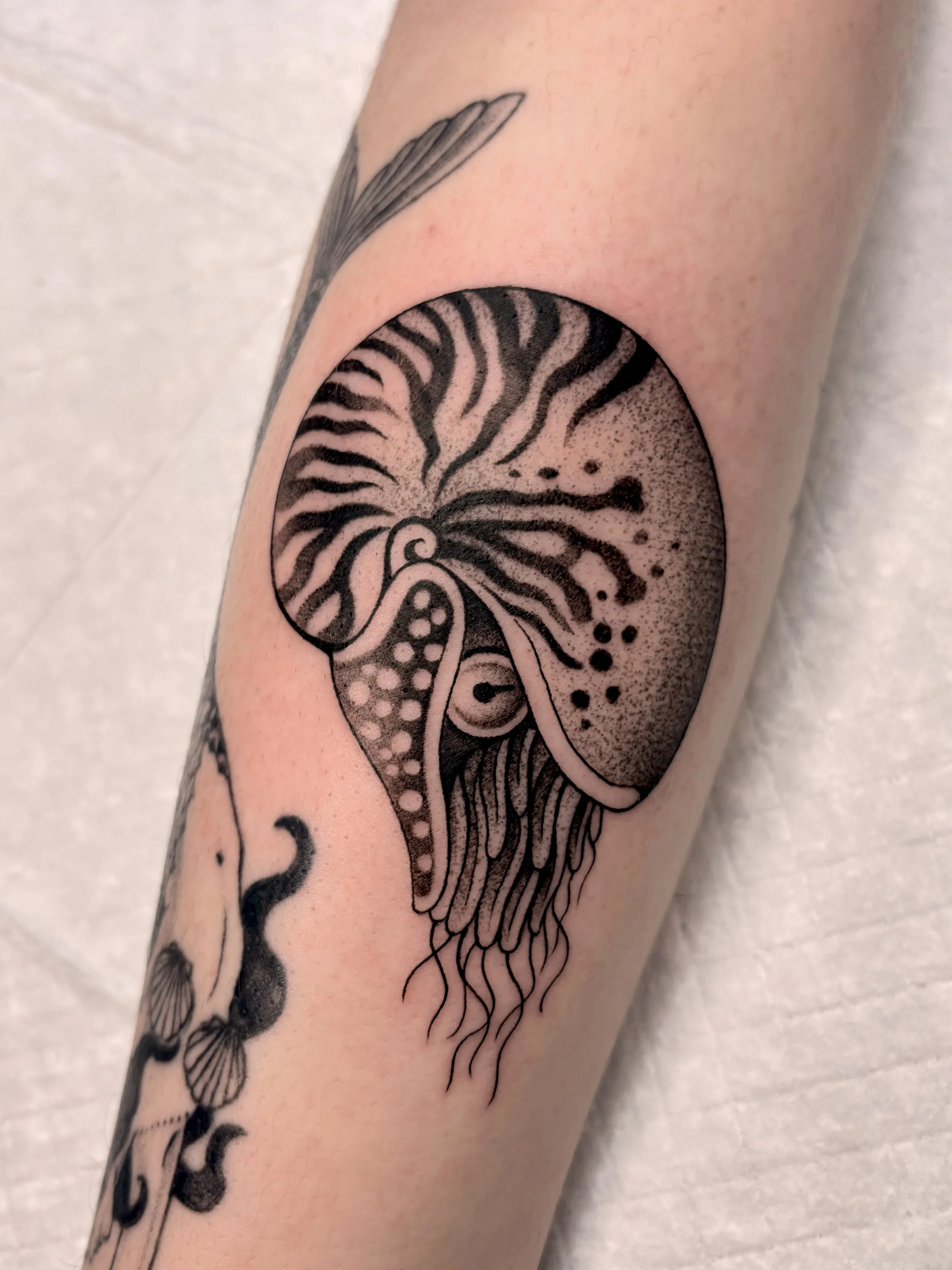 Black ink tattoo of a butterfly with intricate patterns on a person's forearm.