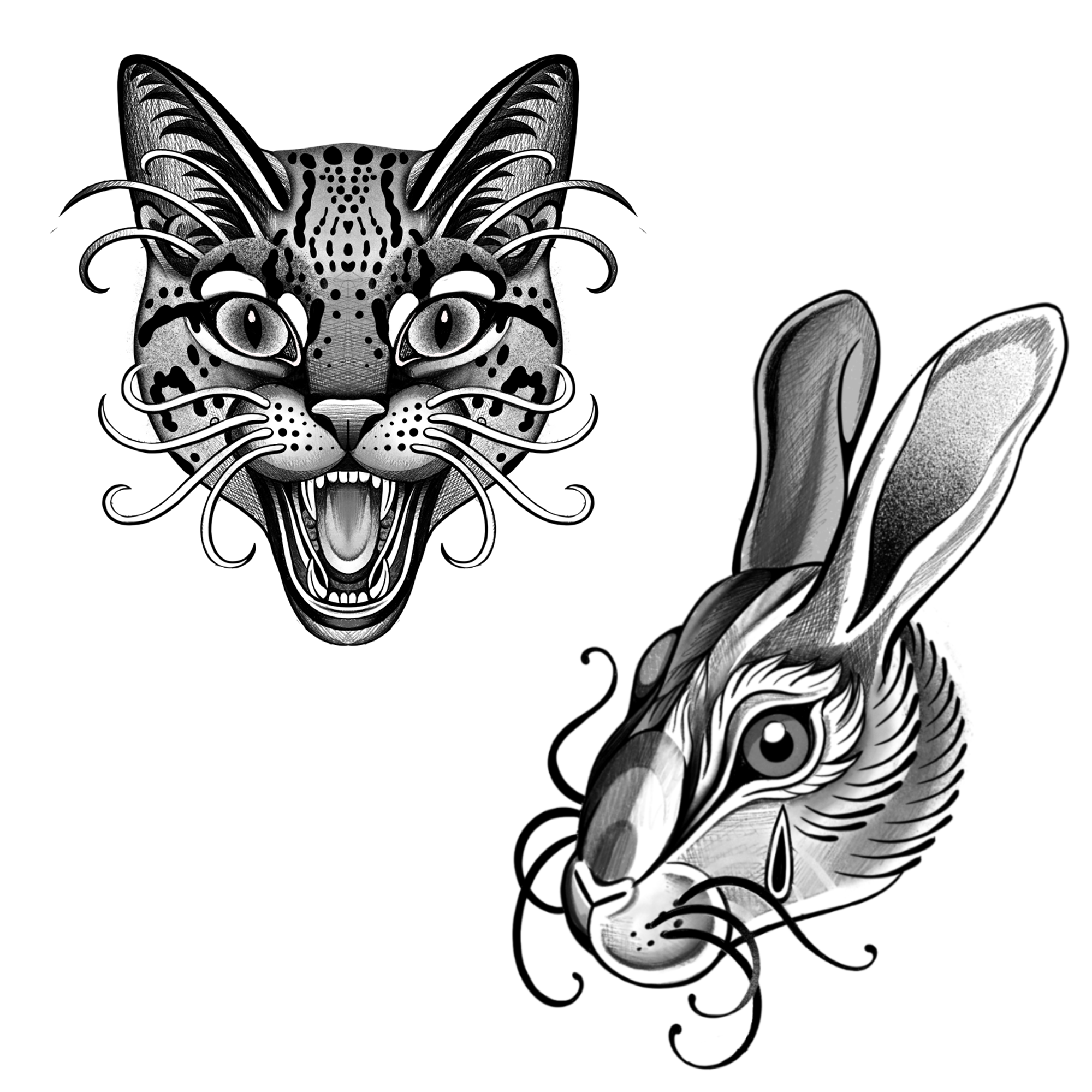 animal 4.png