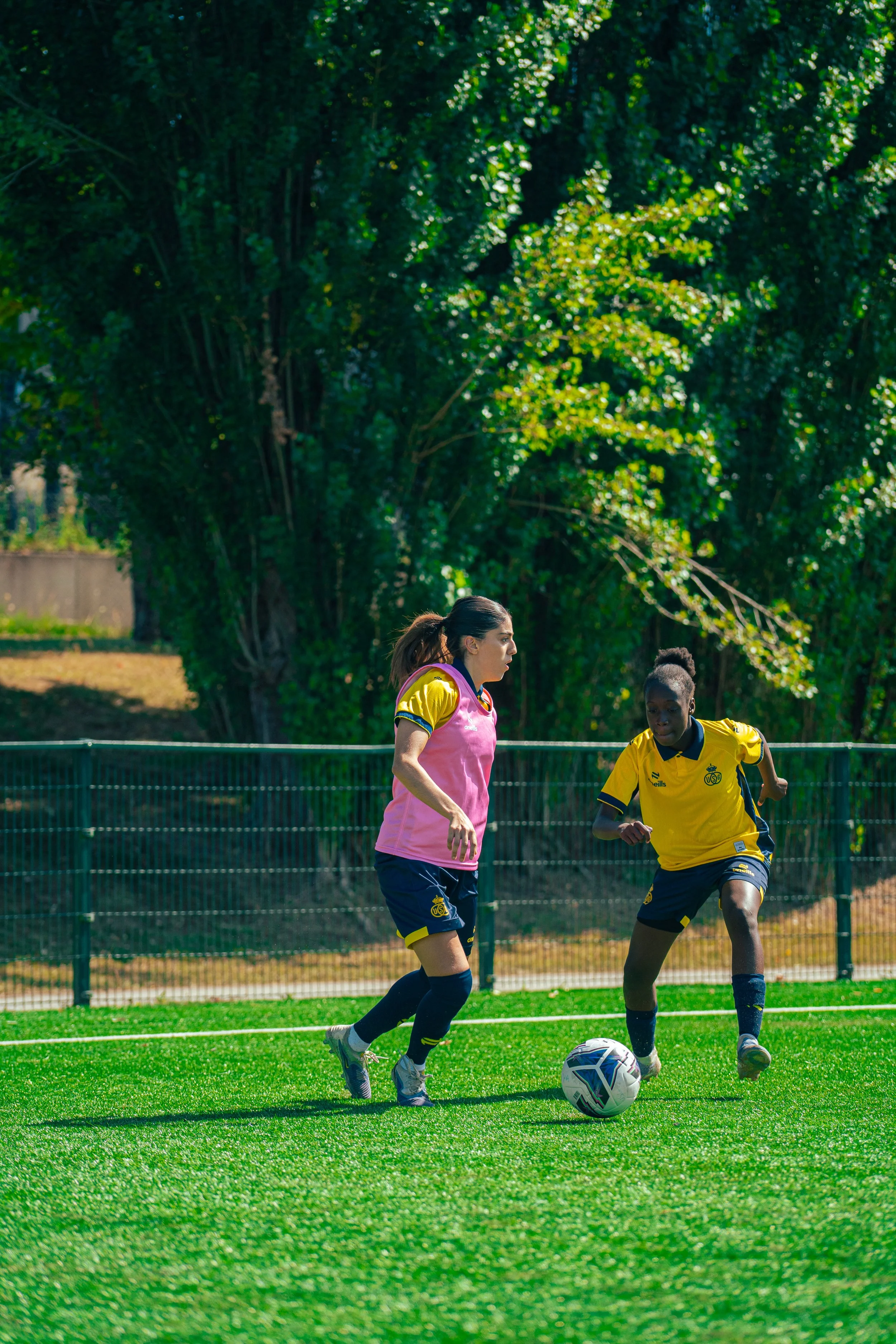 Two young women playing soccer on a green field under a tree with sunlight shining through the leaves.