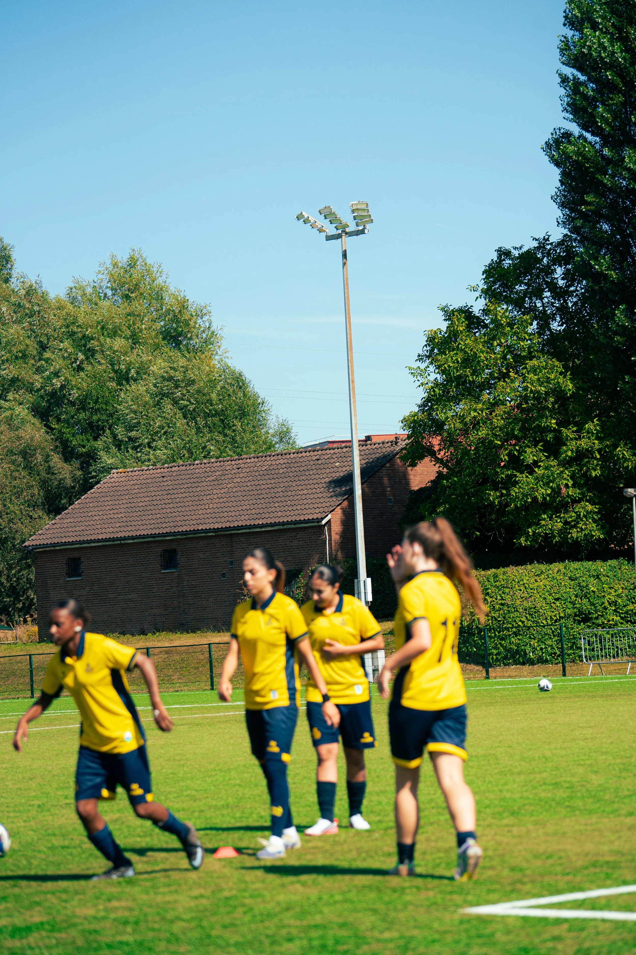 Soccer players in yellow jerseys and navy shorts walking on the field during a game, with trees, a building with a red roof, and floodlights in the background on a sunny day.