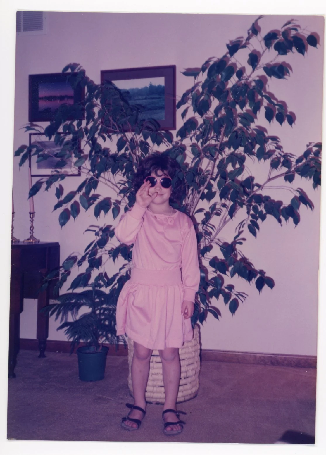A young girl wearing a pink dress and sunglasses, standing indoors in front of a large potted plant and some framed pictures on the wall.