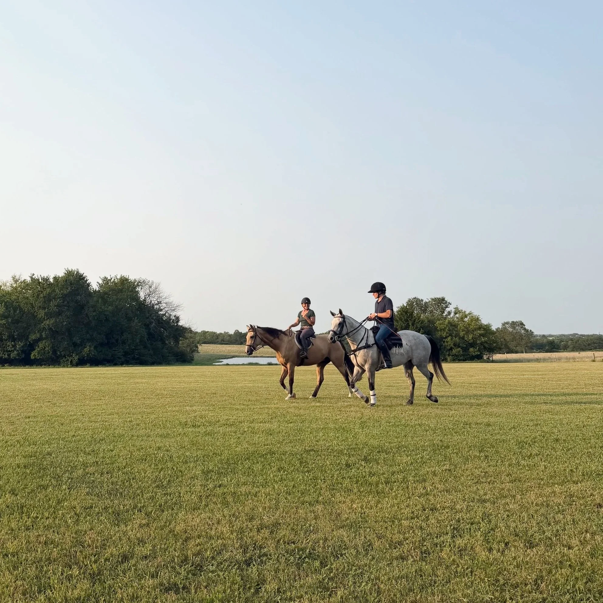 Two people riding horses in a grassy field under a clear sky, with trees in the background.