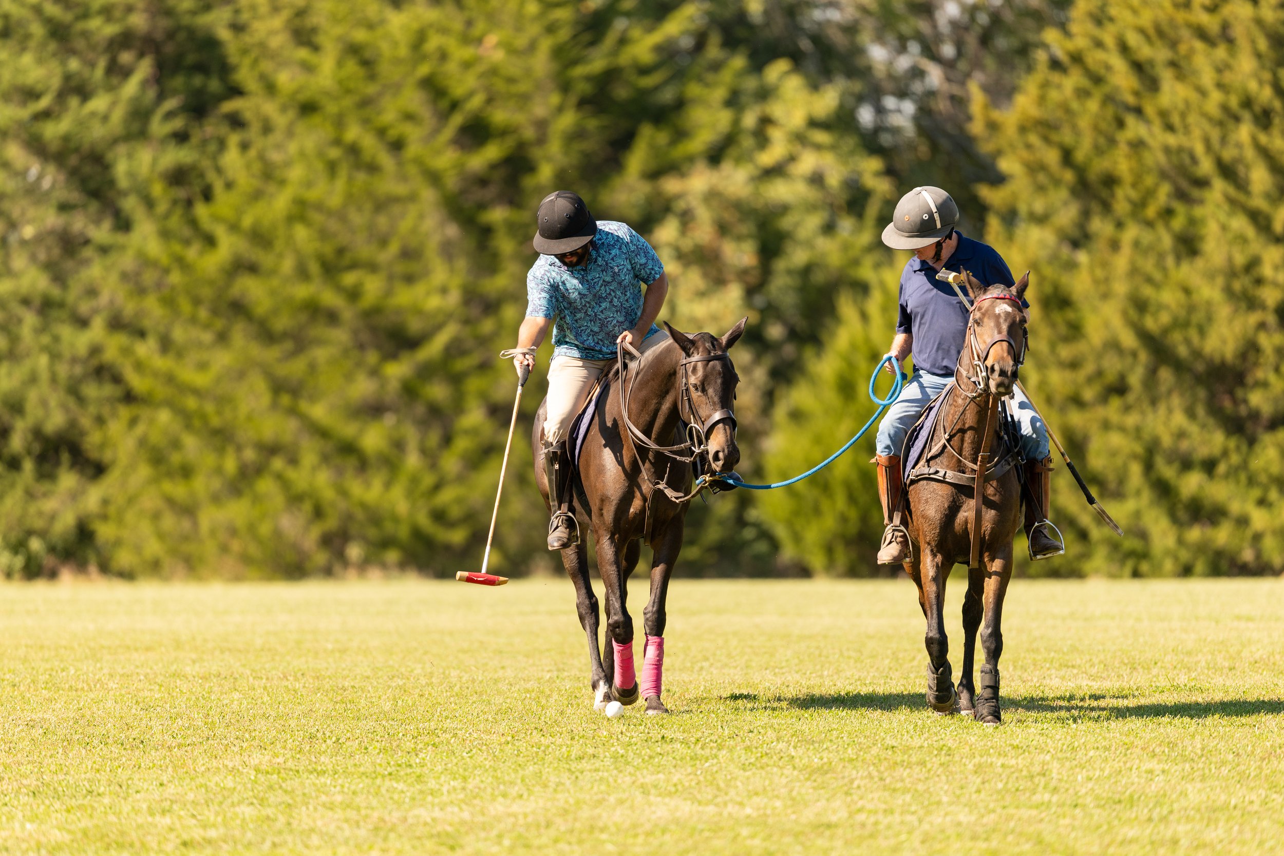 BDP11094PoloClinic26.jpg (Copy)