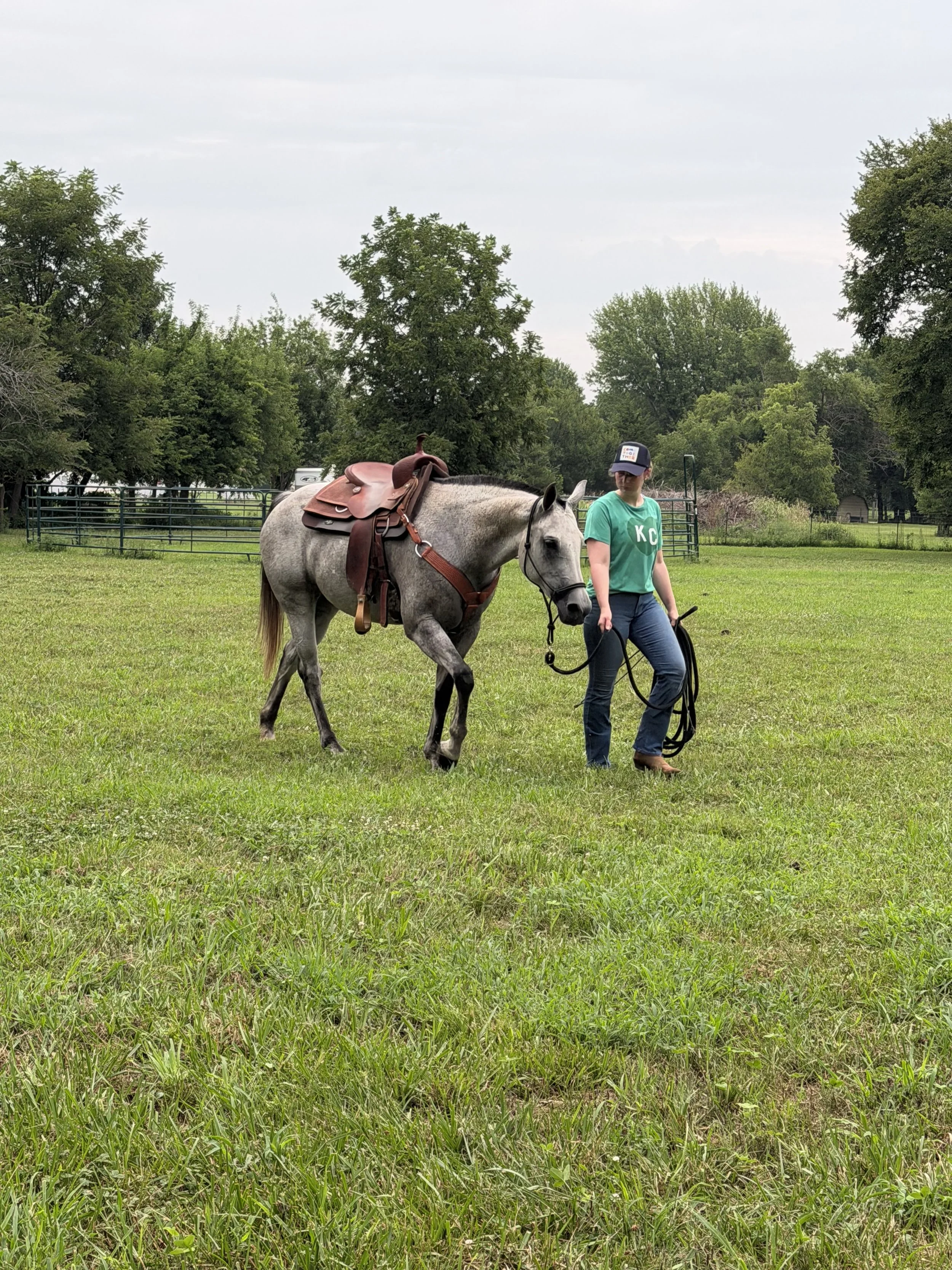 Polo Lessons & Riding