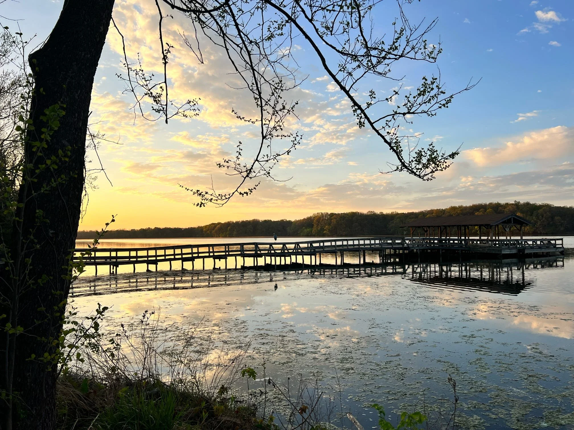 A lakeside scene at sunset with a wooden pier extending into the water, trees with budding leaves, and a partly cloudy sky reflecting on the lake.