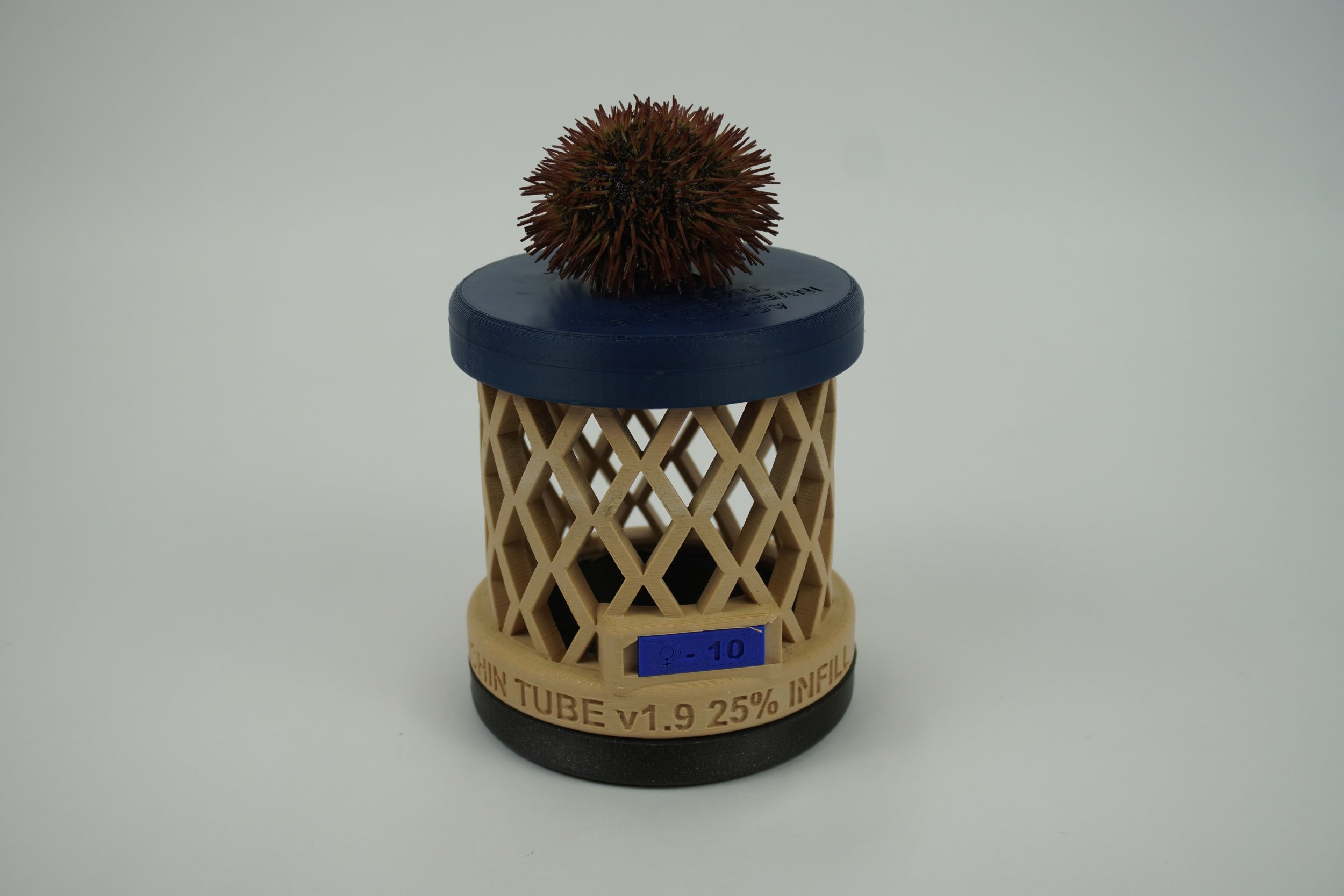Invertebrate Tube v1.9.0