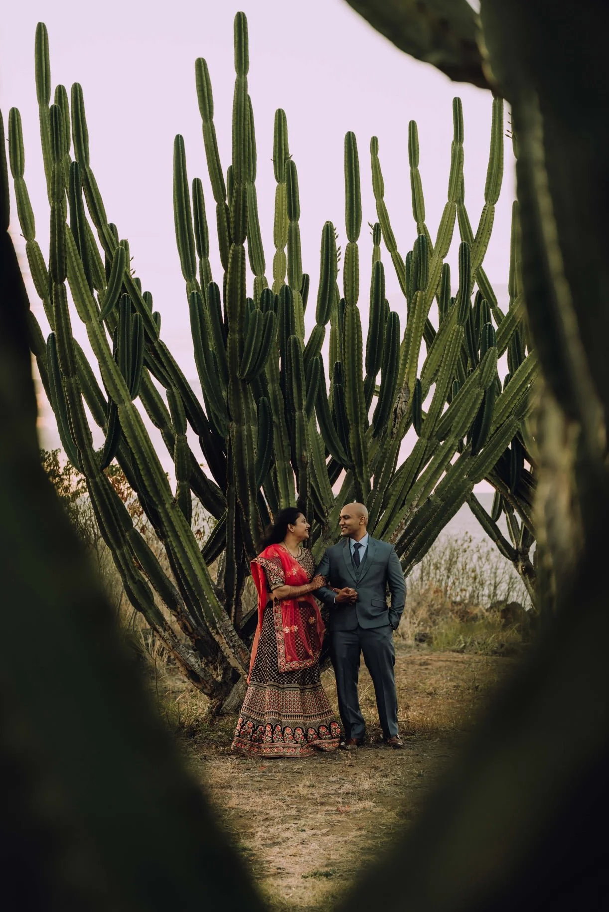 A couple standing together in front of a large cactus, holding hands and smiling at each other, framed by blurred edges of foliage.