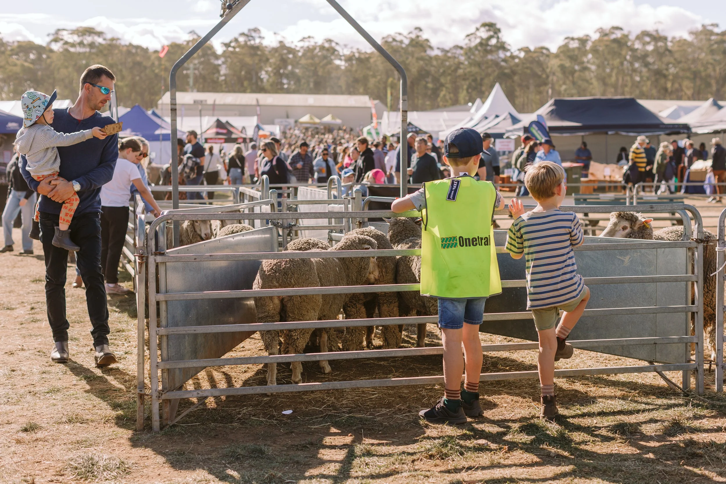 Agfest – Tasmania’s favourite Agricultural festival