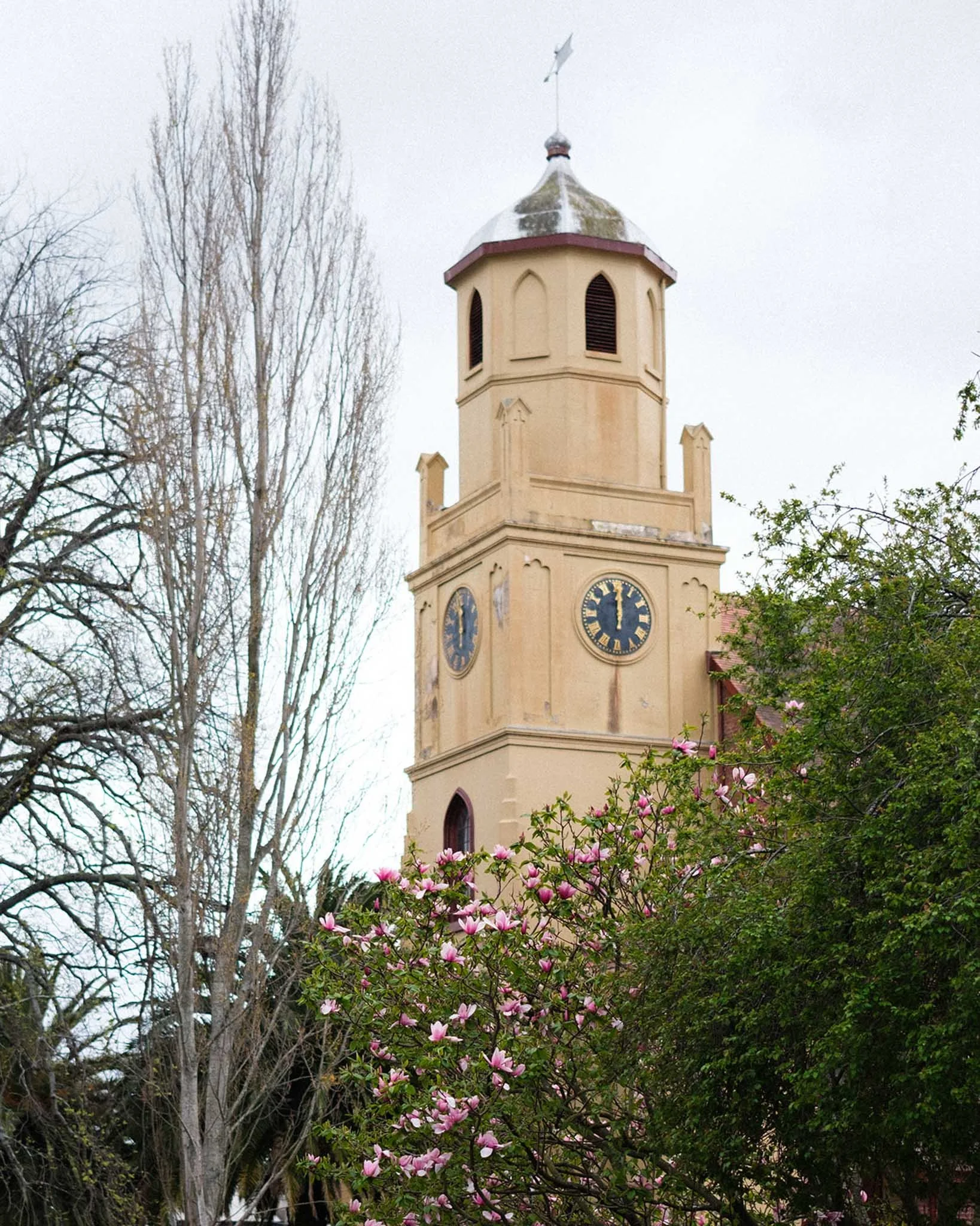 A clock tower with a beige exterior, arched windows, and a clock face showing 5:00. The tower has a pointed roof with a weather vane on top, and is surrounded by tall, leafless trees and some flowering bushes with pink blossoms.