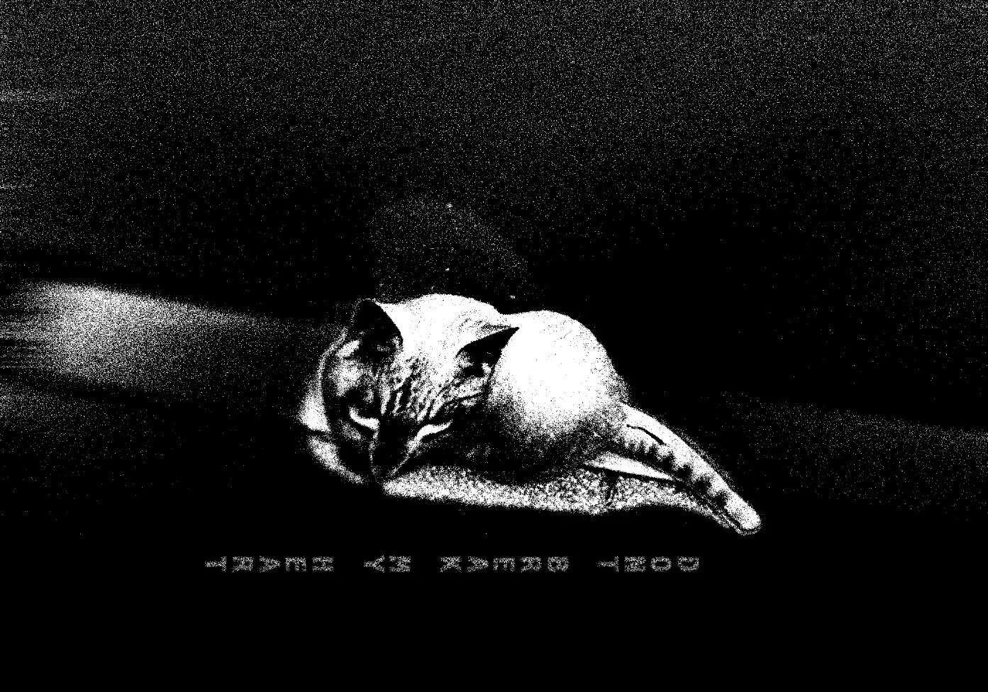 Image 25-7-2026 at 9.23 pm.jpeg