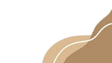 Close-up of a brown and tan dog with floppy ears.