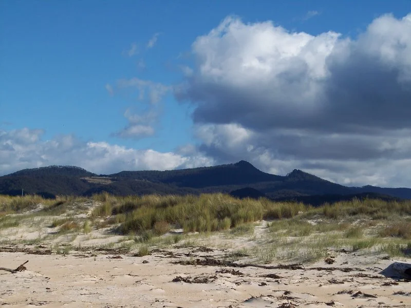 A sandy beach with patches of grass and driftwood, mountain range in the distance under a partly cloudy sky.