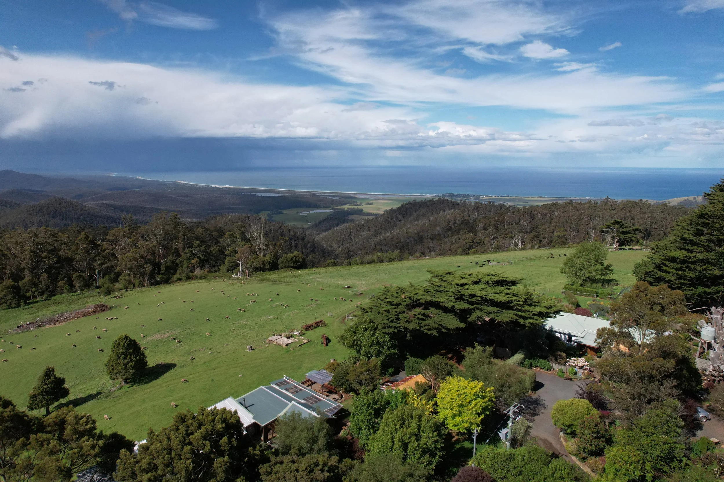 A scenic view of rolling green hills with grazing sheep, surrounded by trees, overlooking the ocean under a partly cloudy sky.