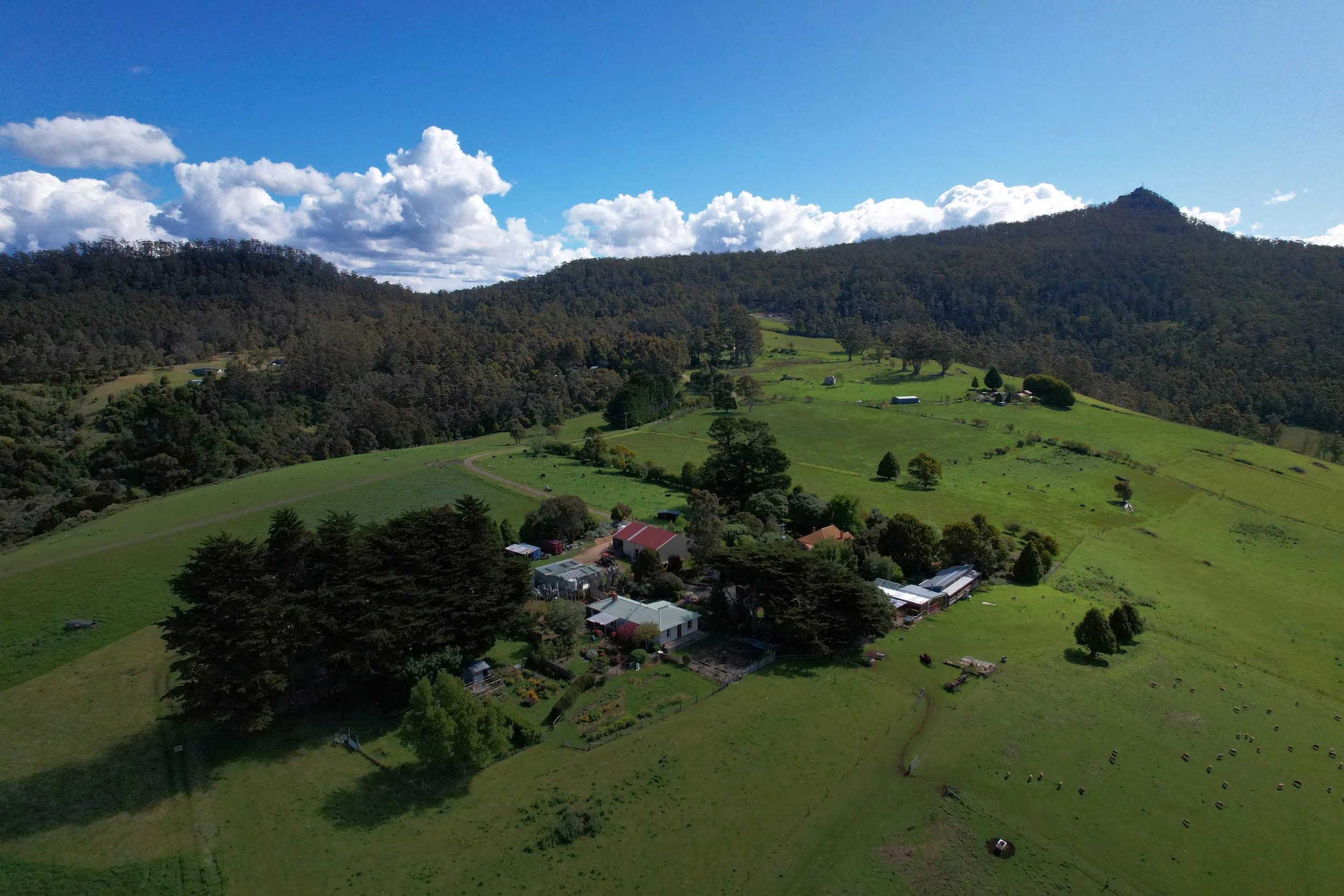 A scenic landscape of rolling green hills with scattered houses, surrounded by dense forests and backed by a mountain under a partly cloudy blue sky.