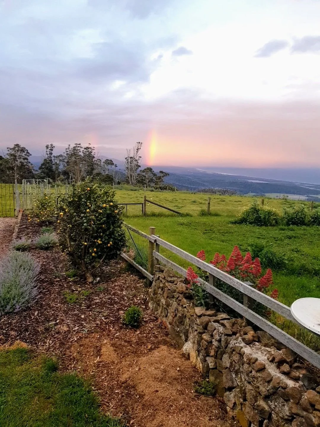 A scenic landscape featuring a garden with lemon trees, flowering plants, a stone wall, a grassy field, trees, mountains, and a rainbow in the distance under a cloudy sky.
