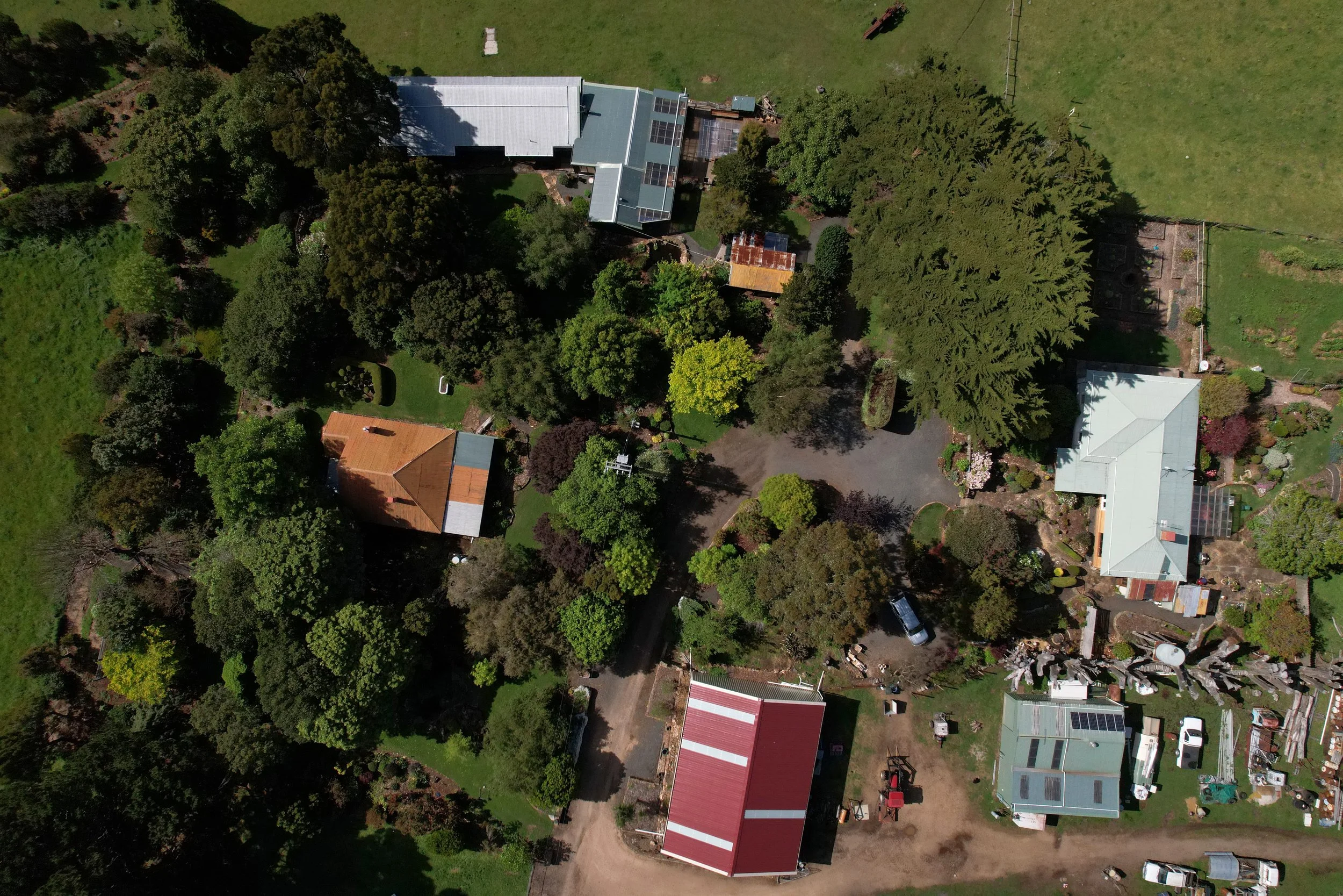 An aerial view of a residential backyard with multiple trees, a lawn, houses, and garden structures, with a driveway and parked vehicles.