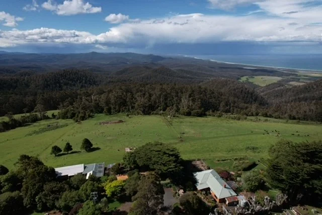 Aerial view of lush green farmland with scattered buildings, rolling hills, dense forest, and ocean in the background under a partly cloudy sky.