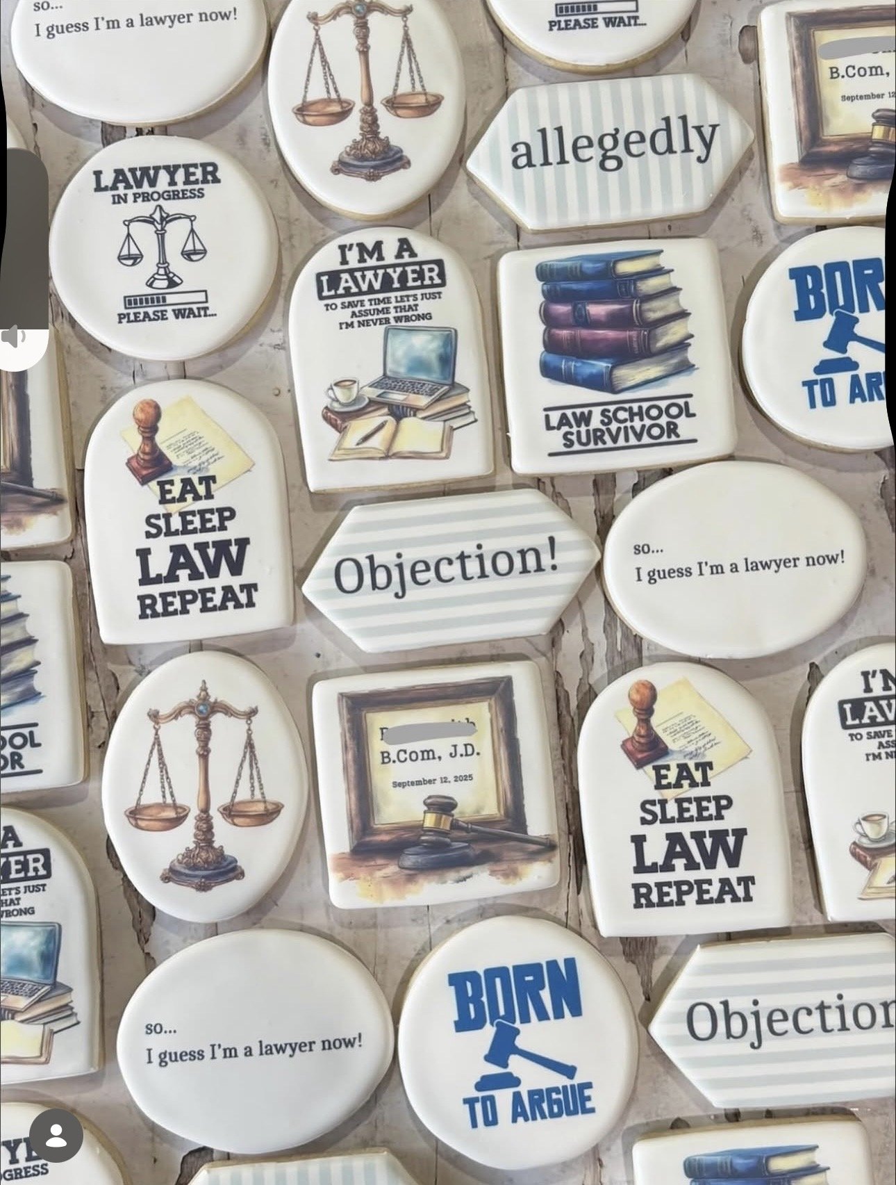 Collage of lawyer-themed decorative plaques featuring scales of justice, law books, legal puns, and phrases such as “Lawyer in Progress,” “Law School Survivor,” “Objection!” and “Born to Argue.”