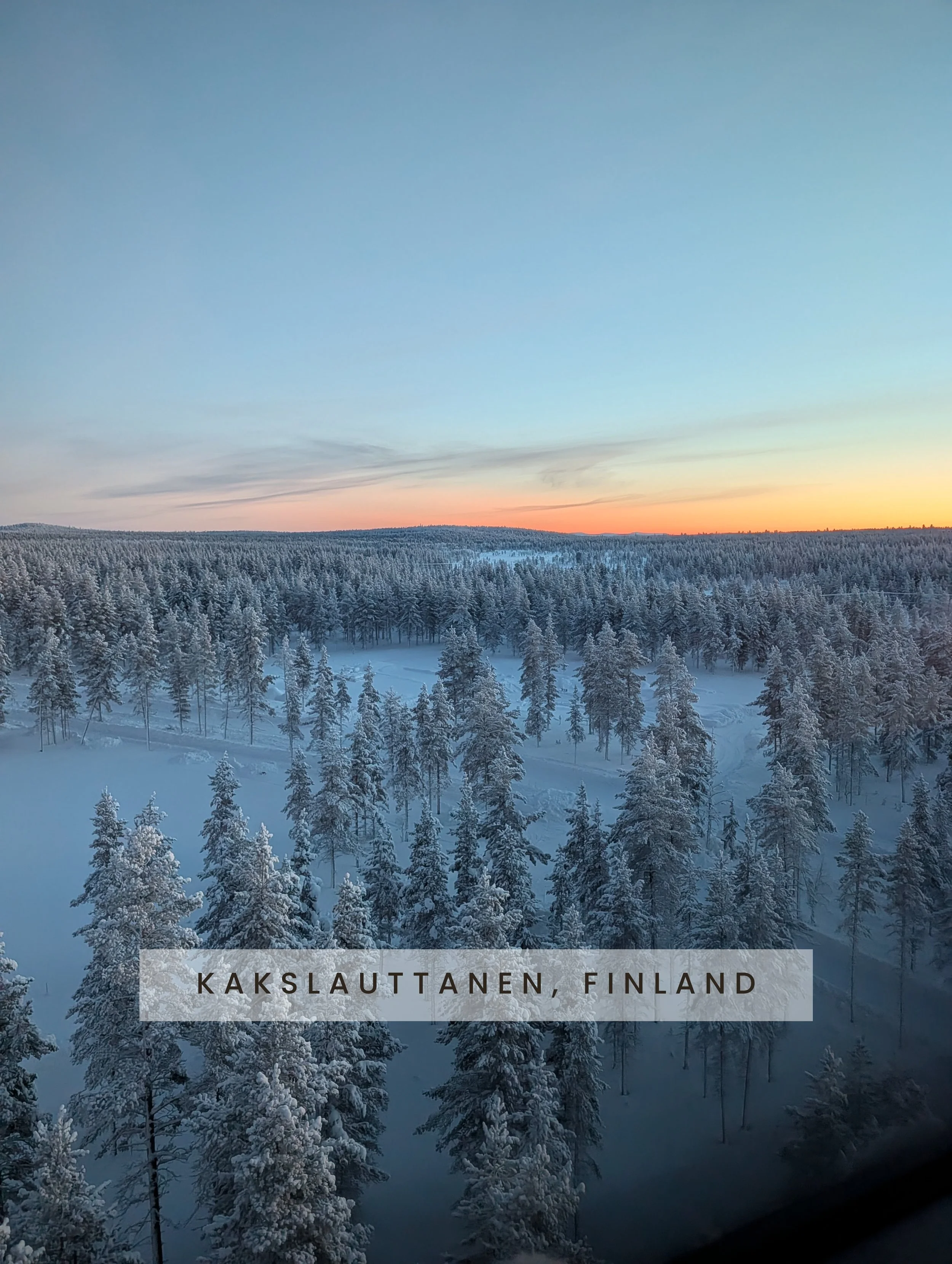 Snow-covered trees in a forest with a colorful sunset sky in the background, in Kakslauttanen, Finland.
