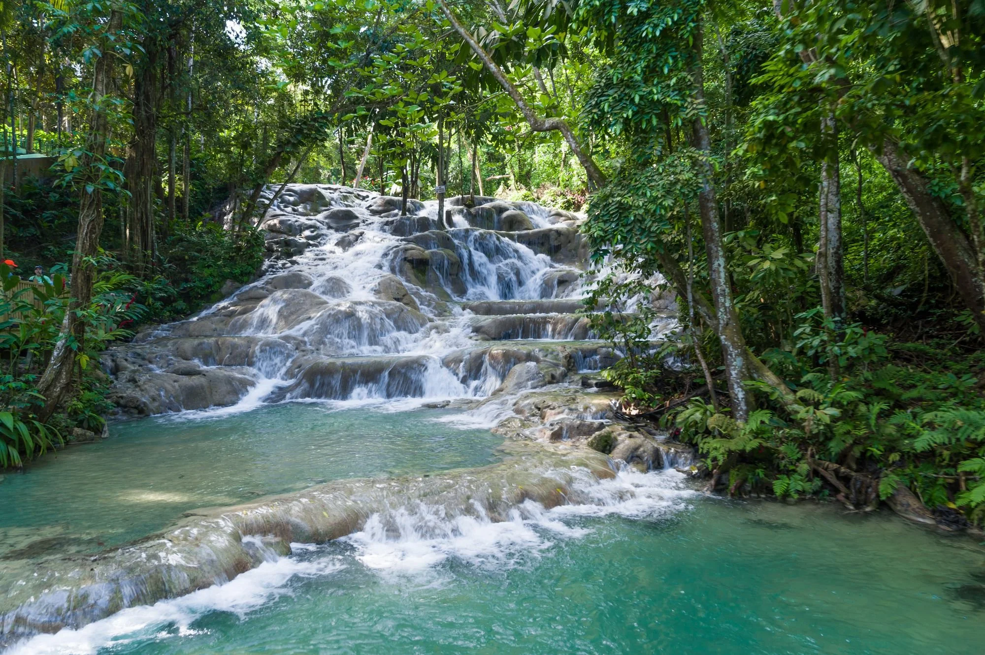 Dunns river.jpeg