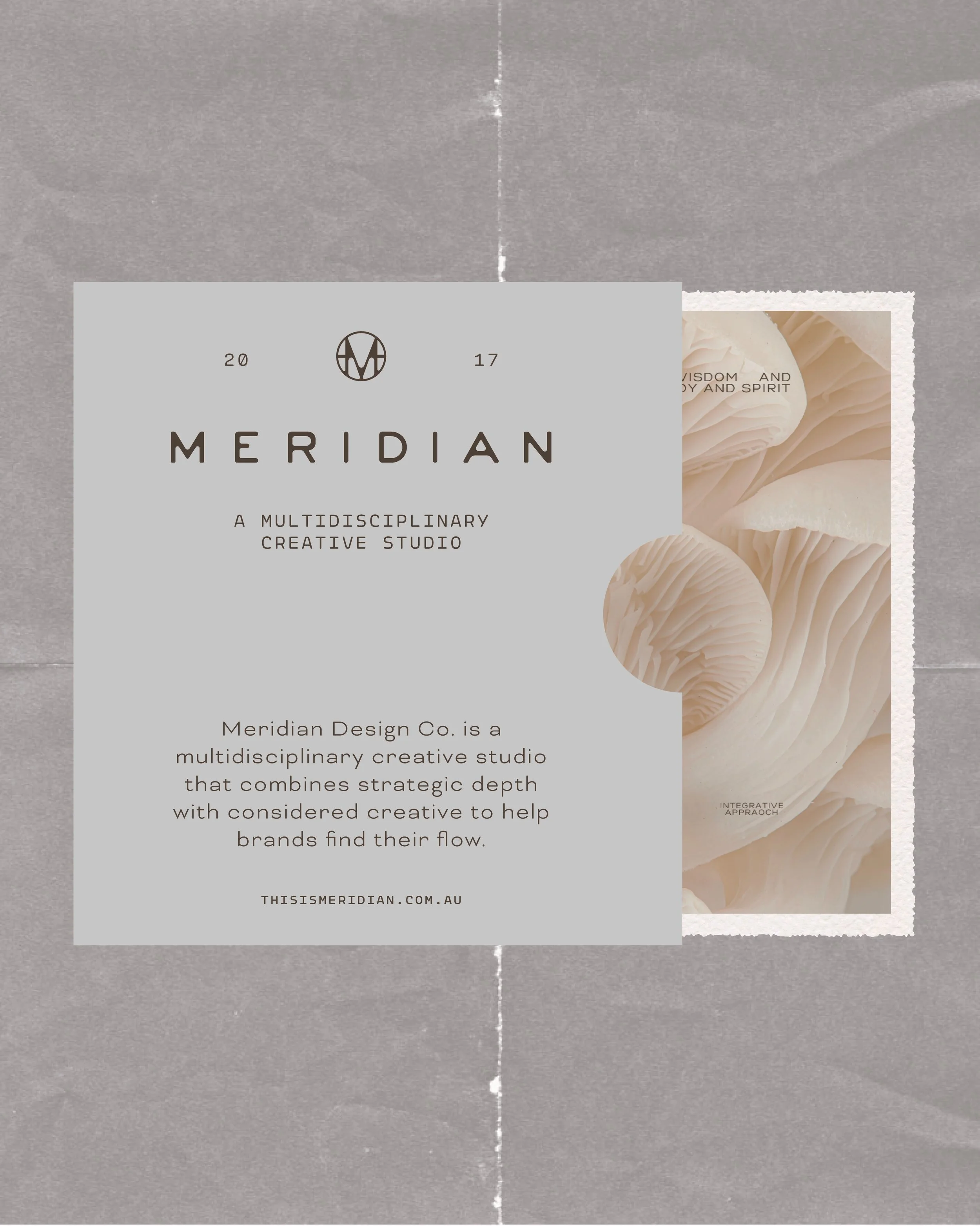 A promotional graphic for Meridian Design Co., featuring a beige and white color scheme, with text about the company's multidisciplinary creative approach and a background image of mushrooms.