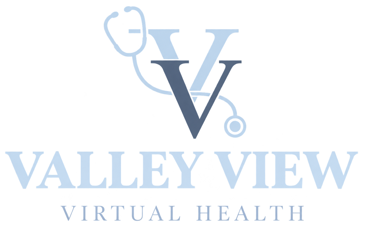 Valley View Virtual Health