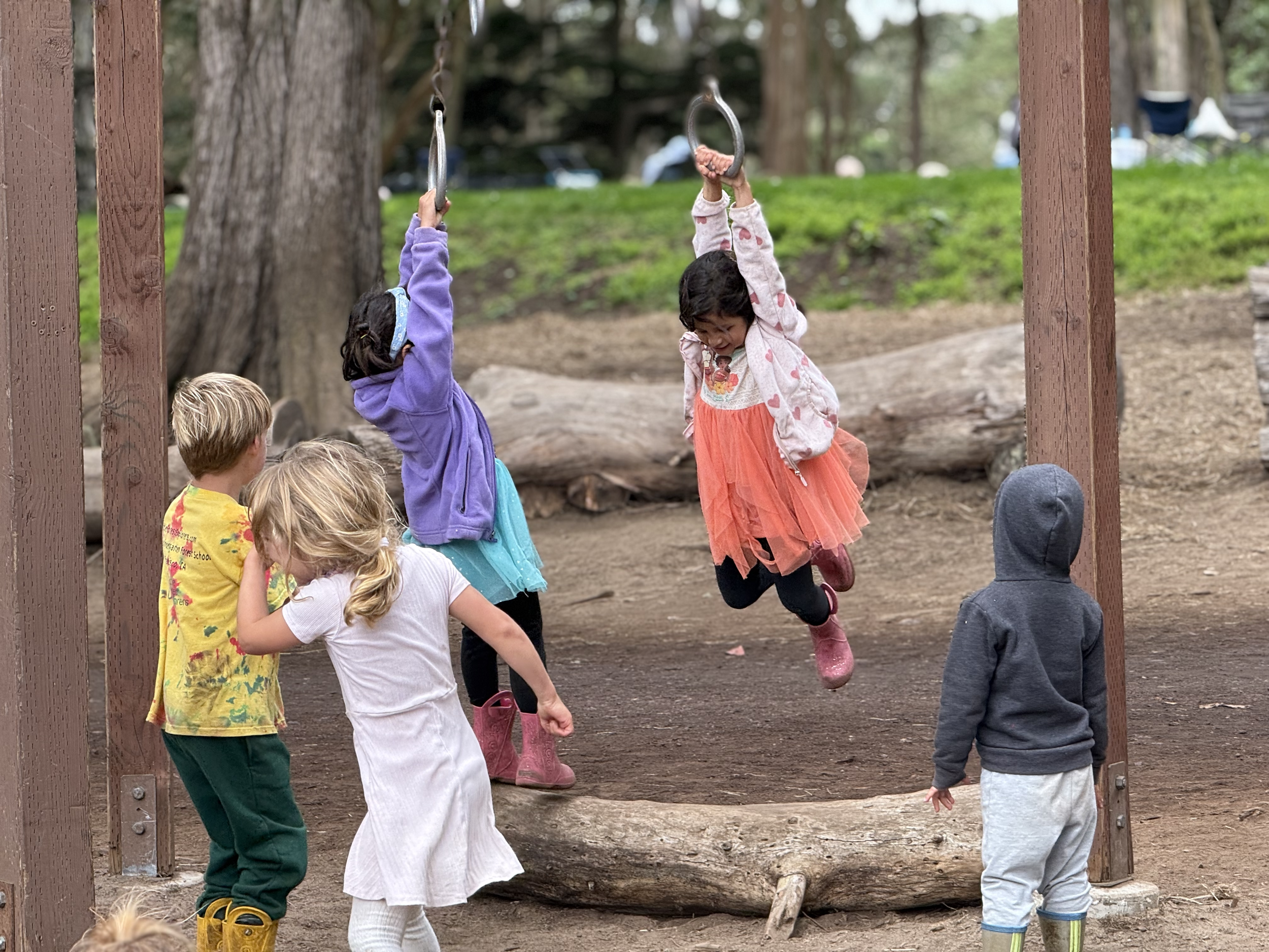 Children at San Francisco Forest School playing by hanging on rings in a Golden Gate Park.
