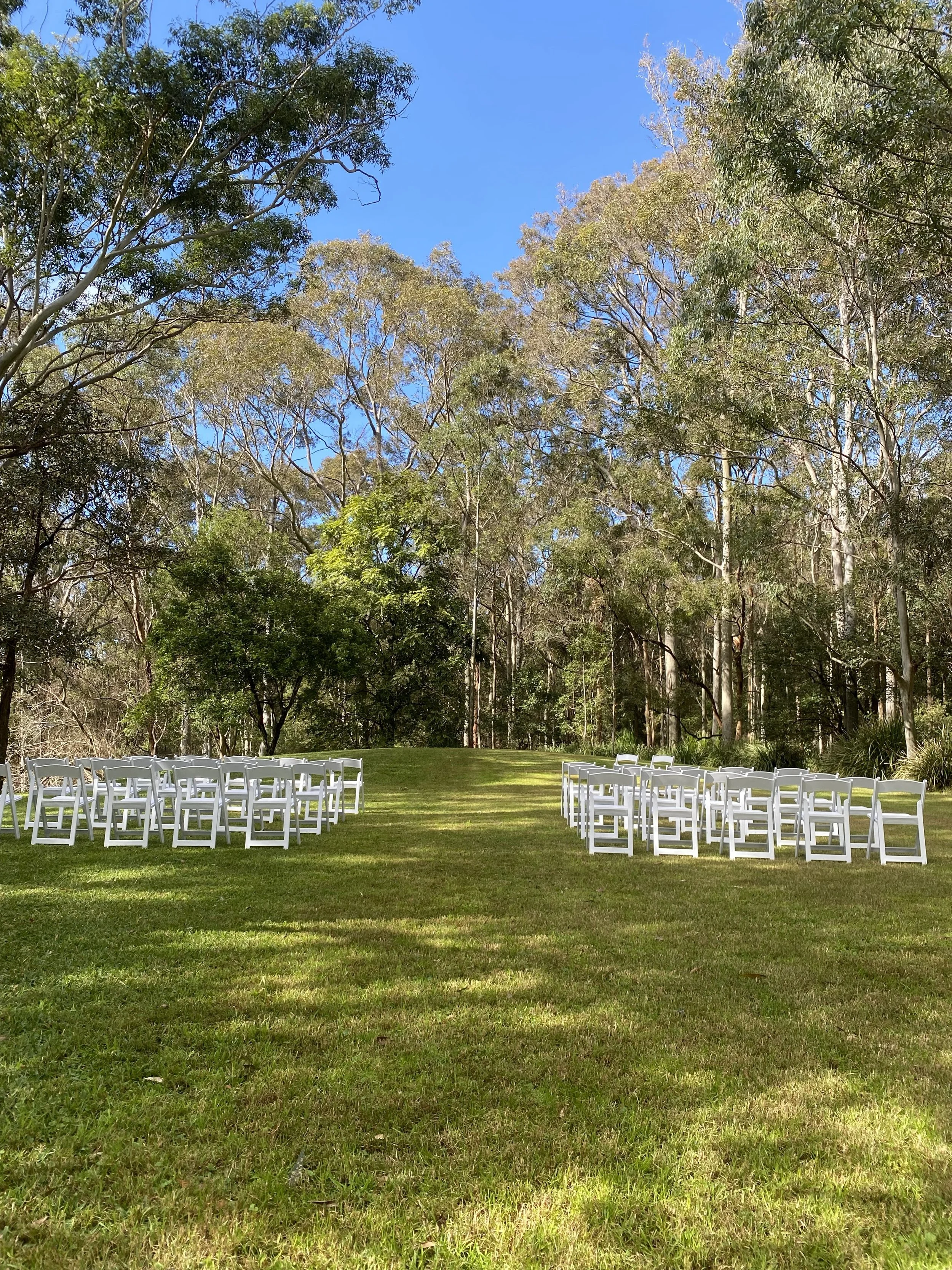 Outdoor wedding setup with white chairs arranged in rows on a grassy area, surrounded by tall trees under a clear blue sky.