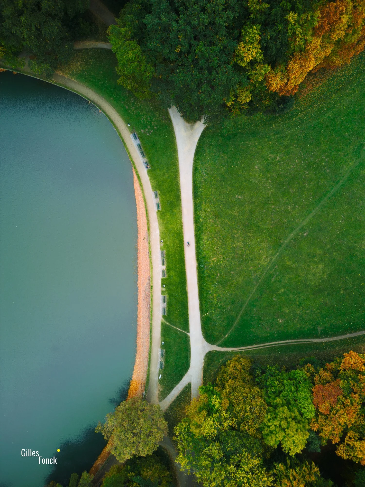 Aerial top-down photo of a path, leading along a lake between autumn trees in the top and bottom. A lawn is seen to the right. A bike is passing right through the middle on the path.