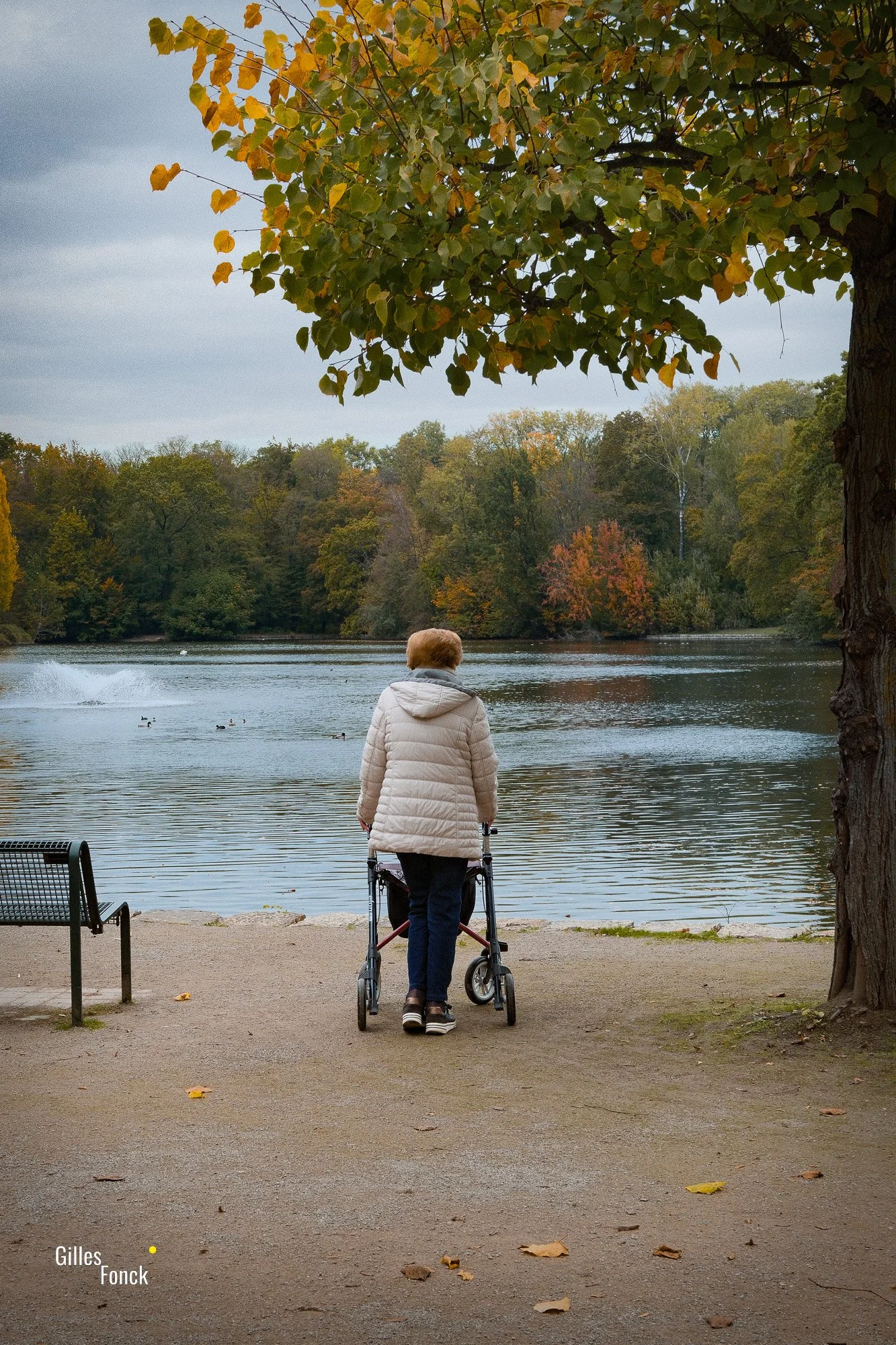 Autumn2026-5.jpg