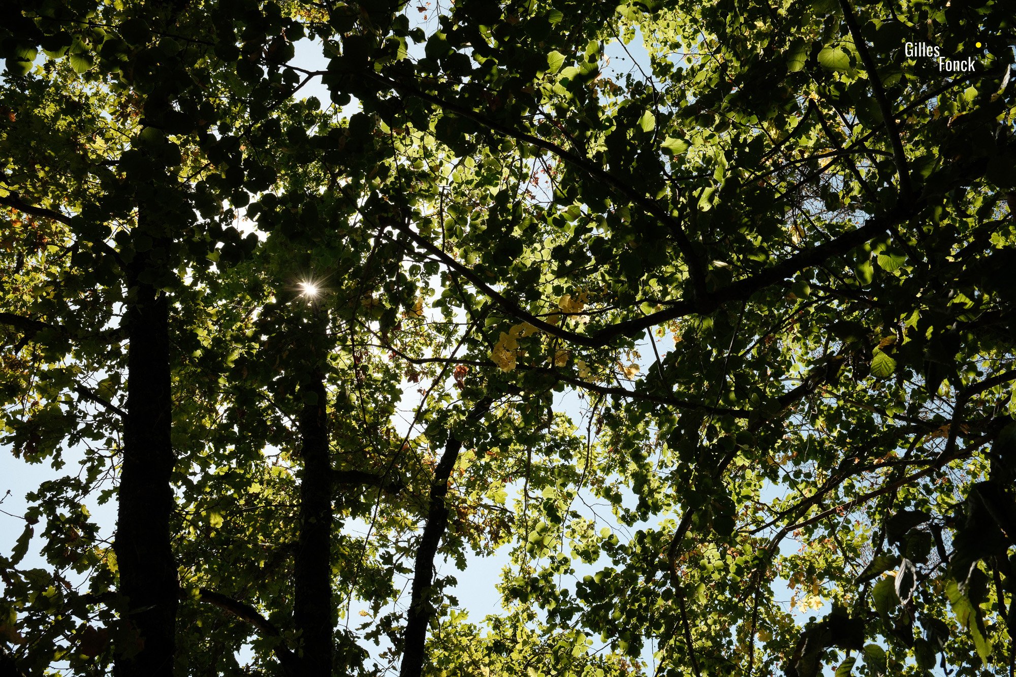 260810_Stausei-2.jpg