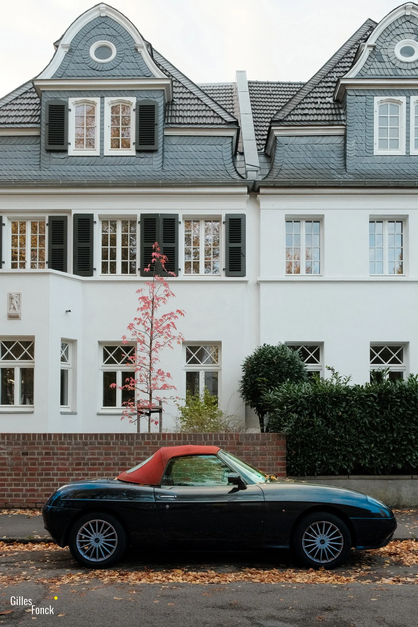 Cologne (Lindenthal) - October 2026