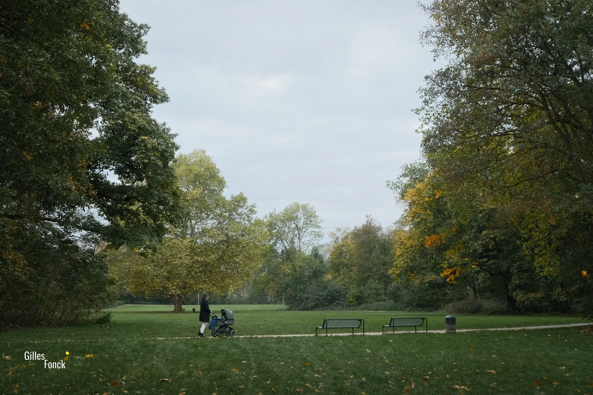 Autumn2026-2.jpg