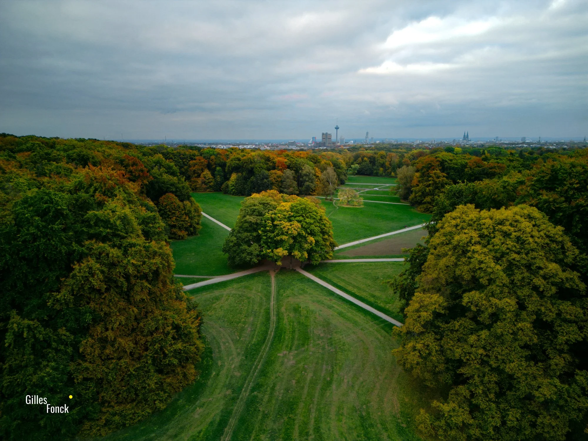 An assembly of trees on a lawn with pathways leading to it can be seen in the middle. The skyline of Cologne is in the background.