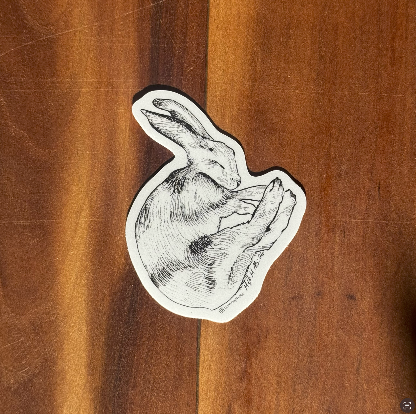 Sleeping Hare Sticker