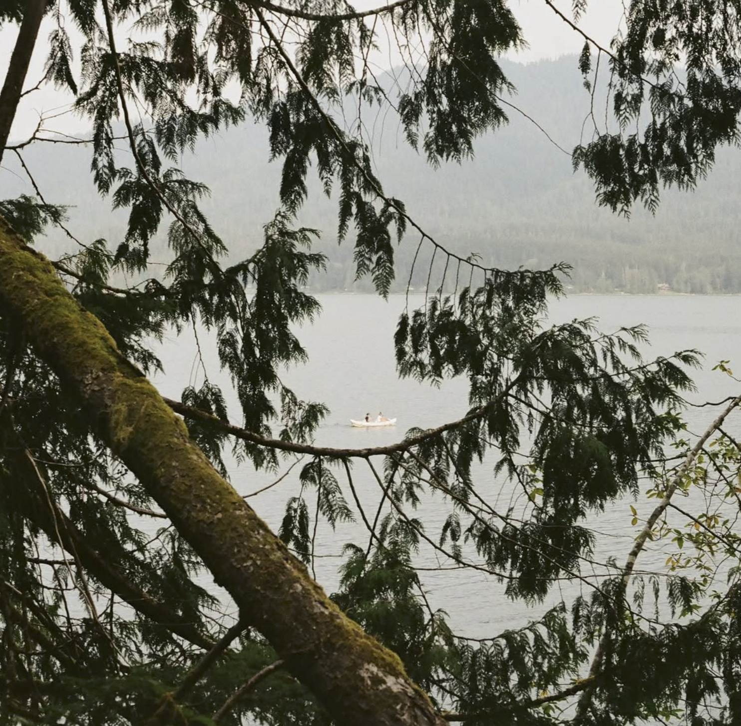 Lake Quinault Film Print