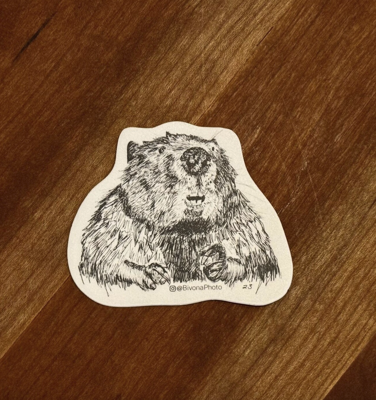 Beaver Sticker