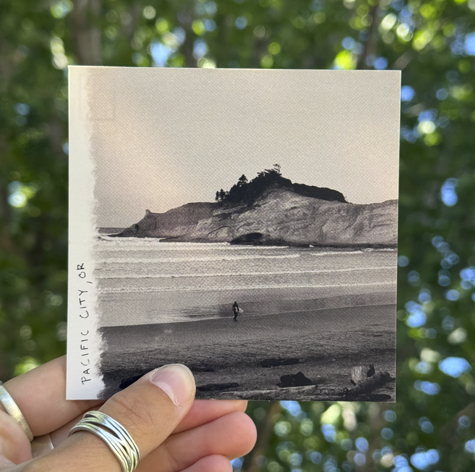 Pacific City Post Card