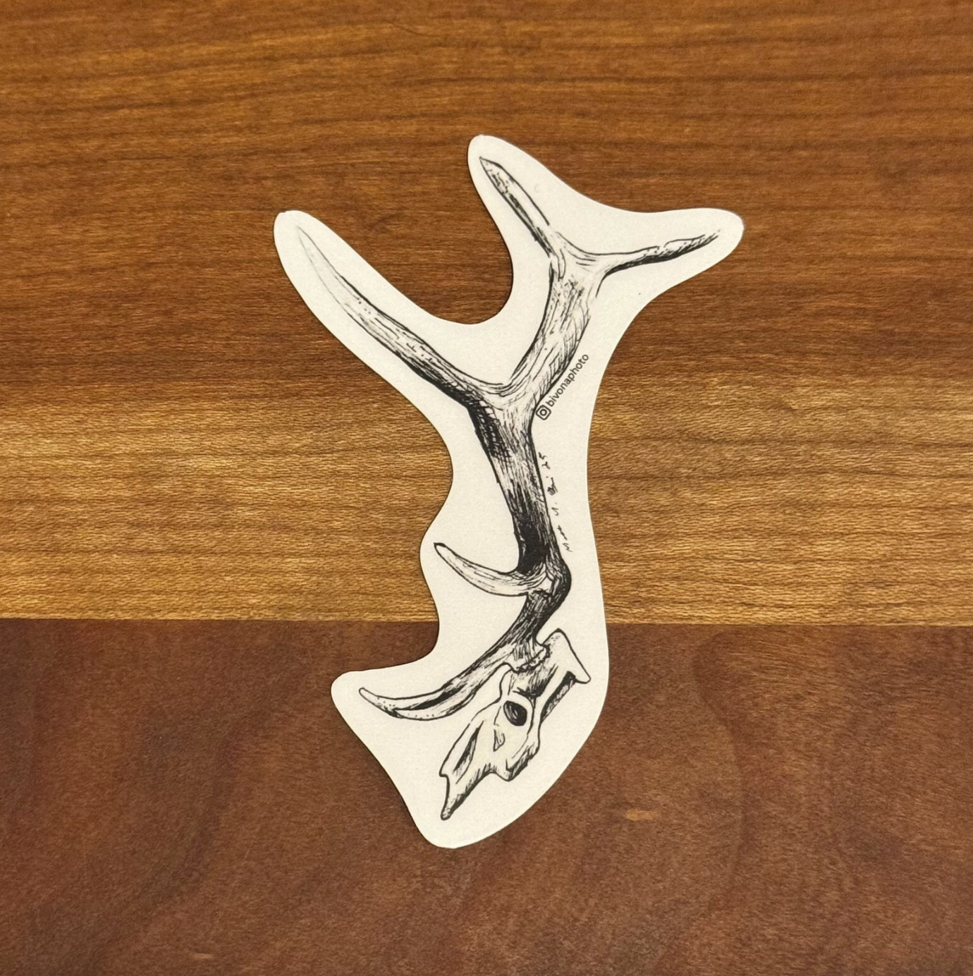 Elk Skull Sticker