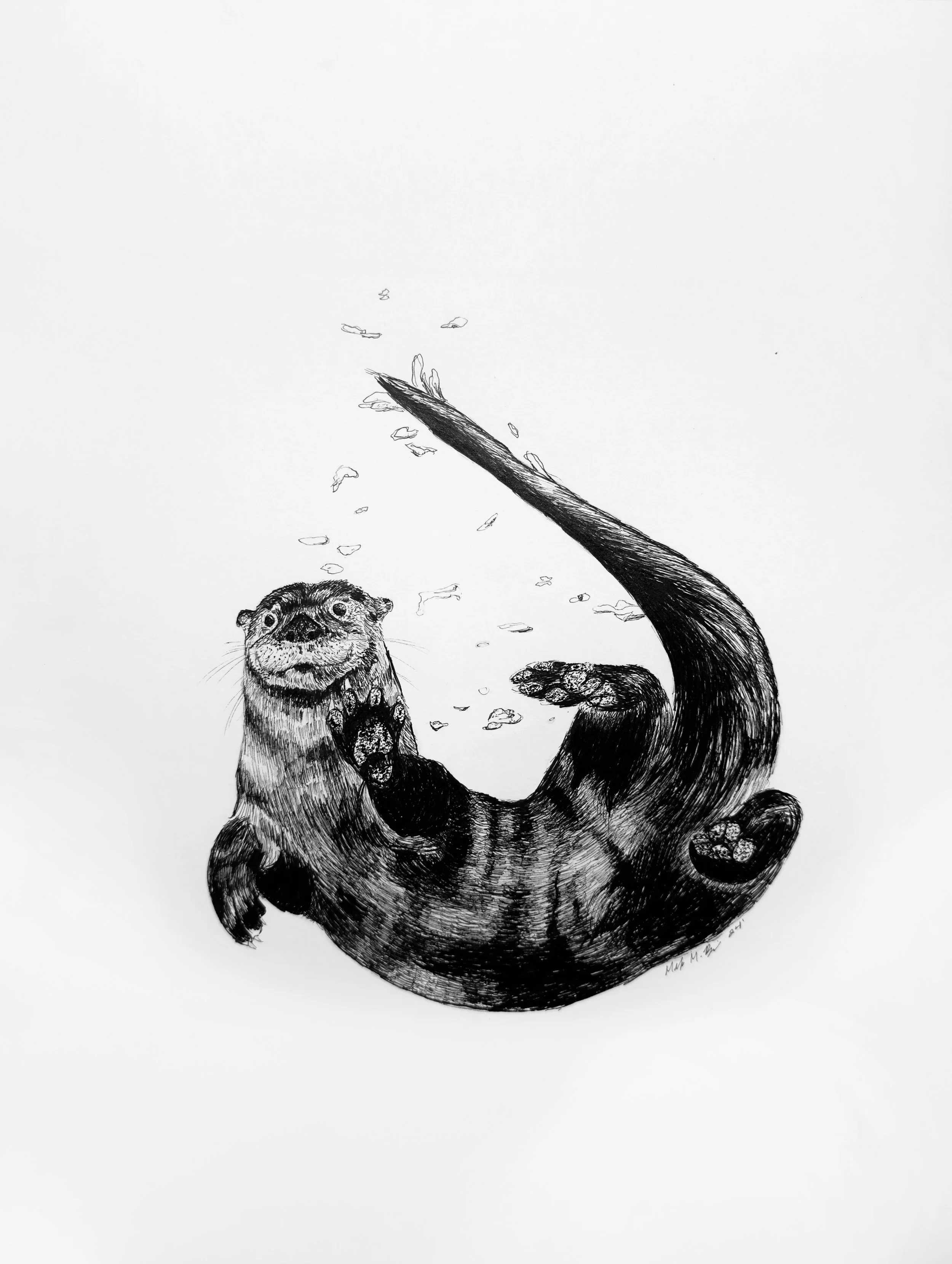 SeaOtterOriginal.jpg