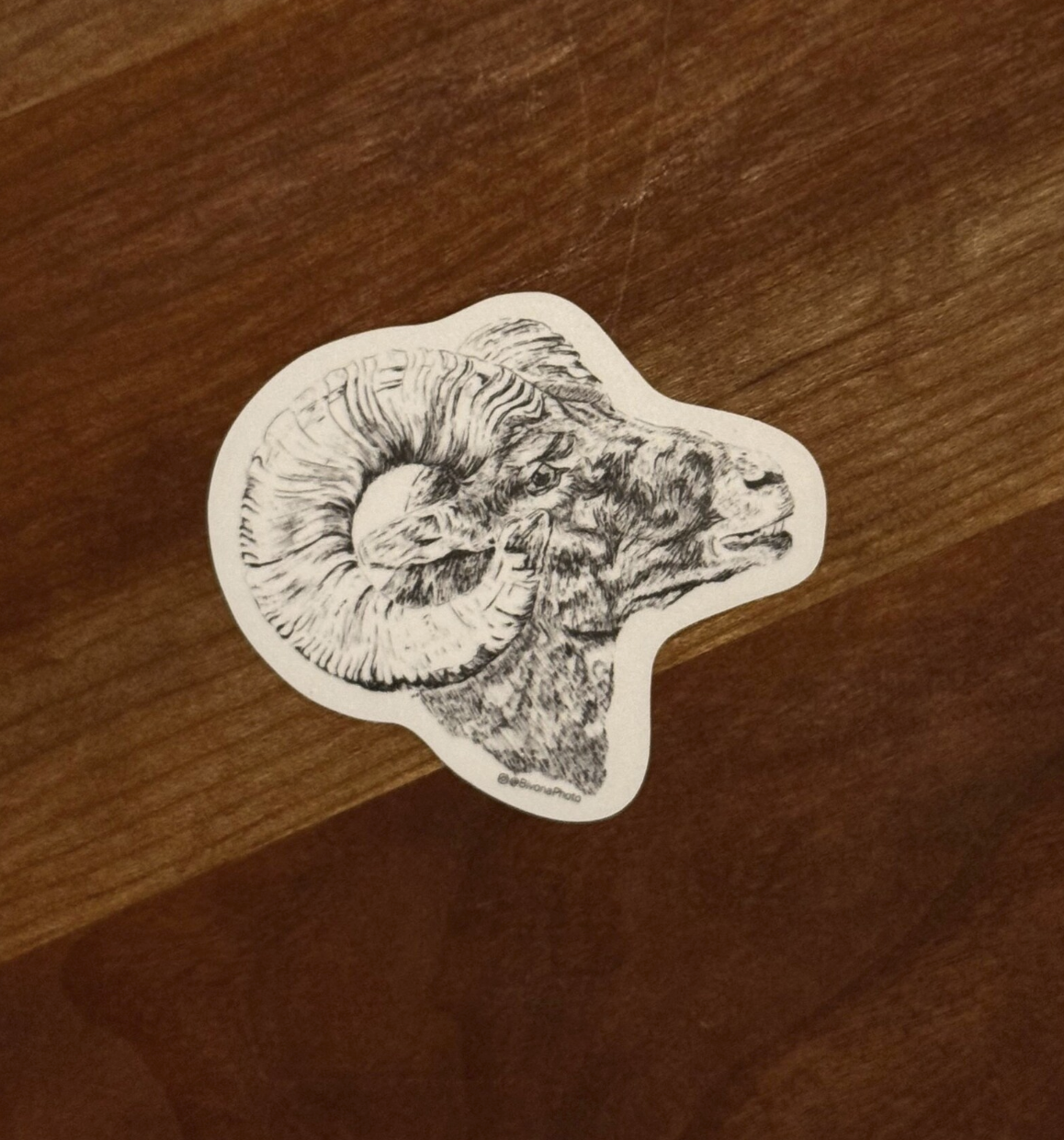 Bighorn Sheep Sticker