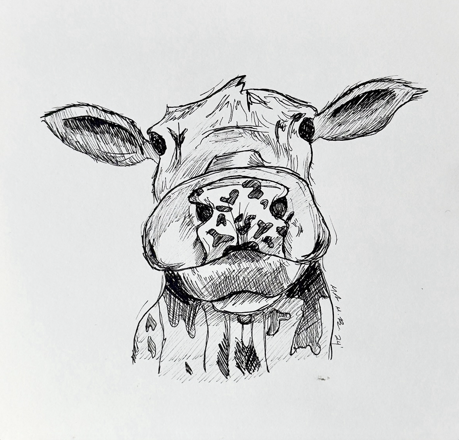 Curious Cow Drawing Print