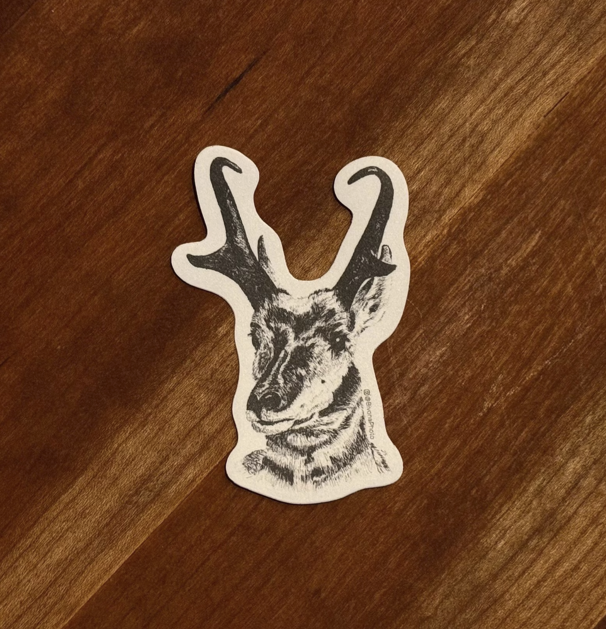 Pronghorn Sticker