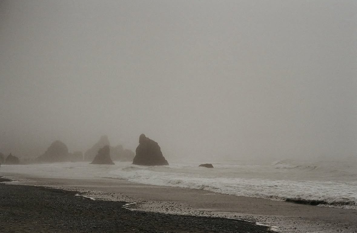 Oregon Coast Film Print