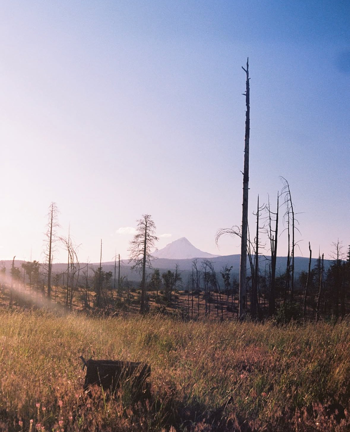 "Mt Hood Fire Scar" Film Print