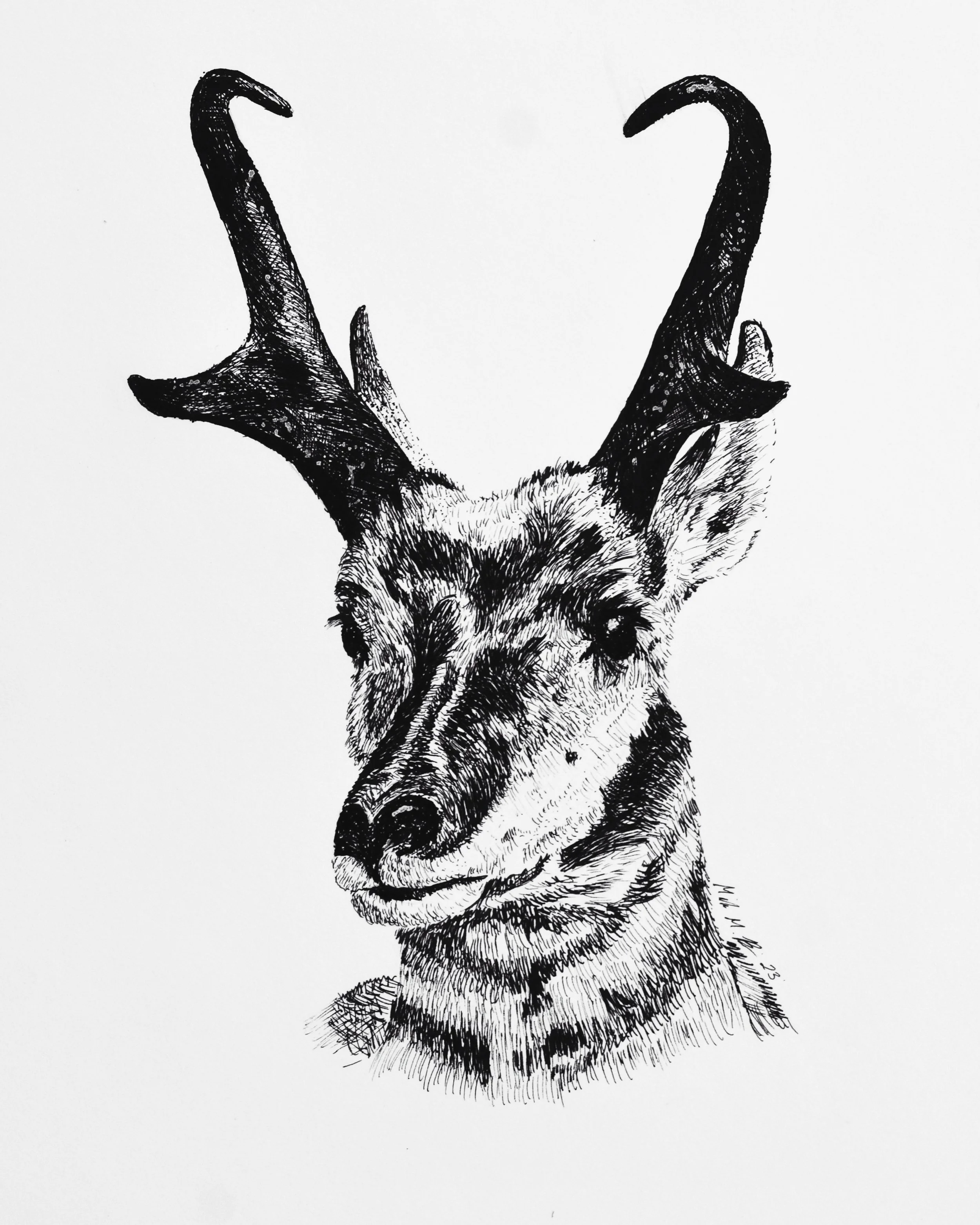 A54047BA-A546-44E5-9C86-F08AEF0BBBC2.JPG