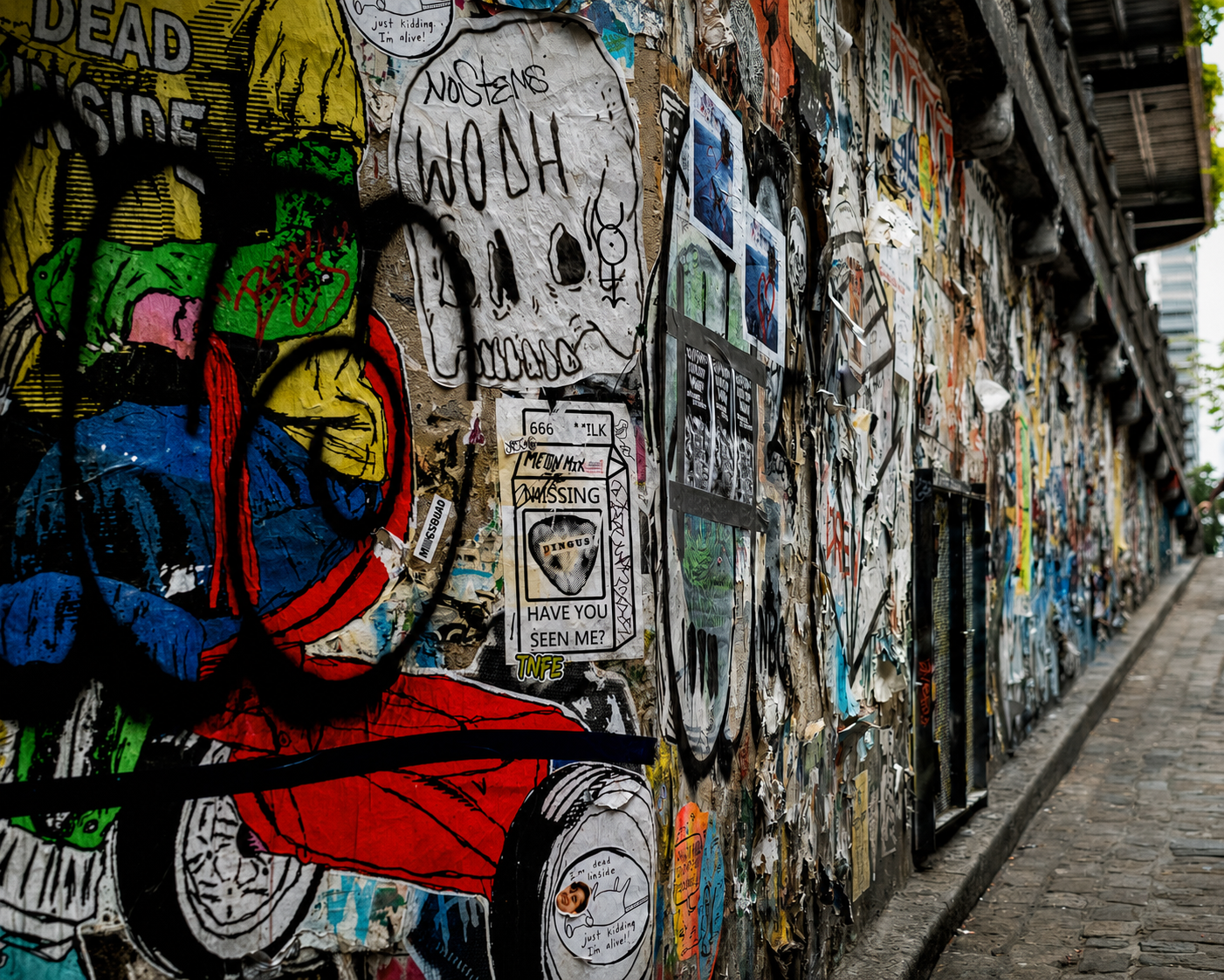 E885AD86-E5B6-4057-B768-B5FFF31971FD.png