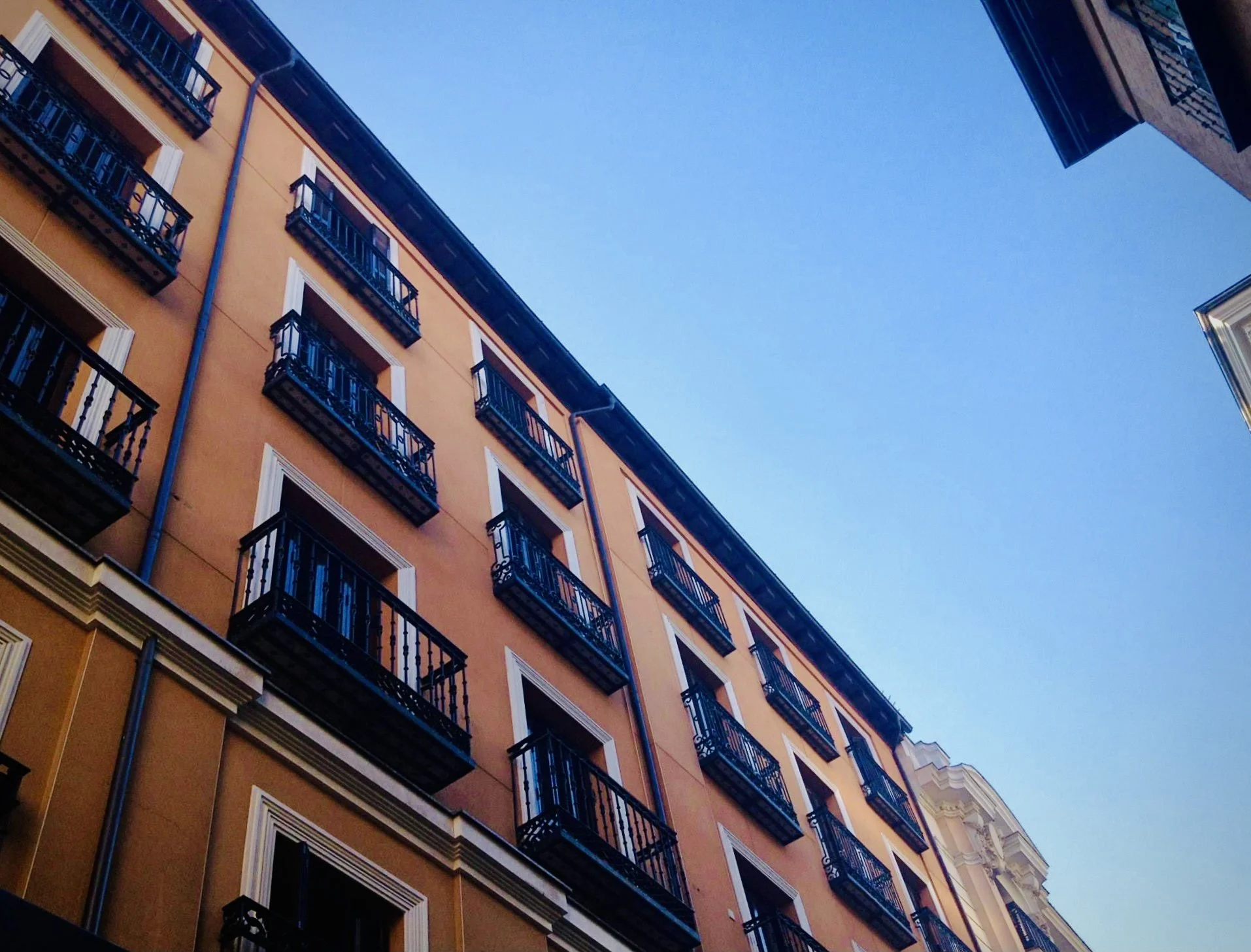 IMG_5006.jpeg