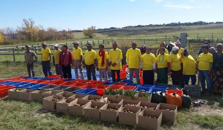 Lethbridge food banks receive hundreds of pounds of fresh produce from Lethbridge Bhutanese Seniors