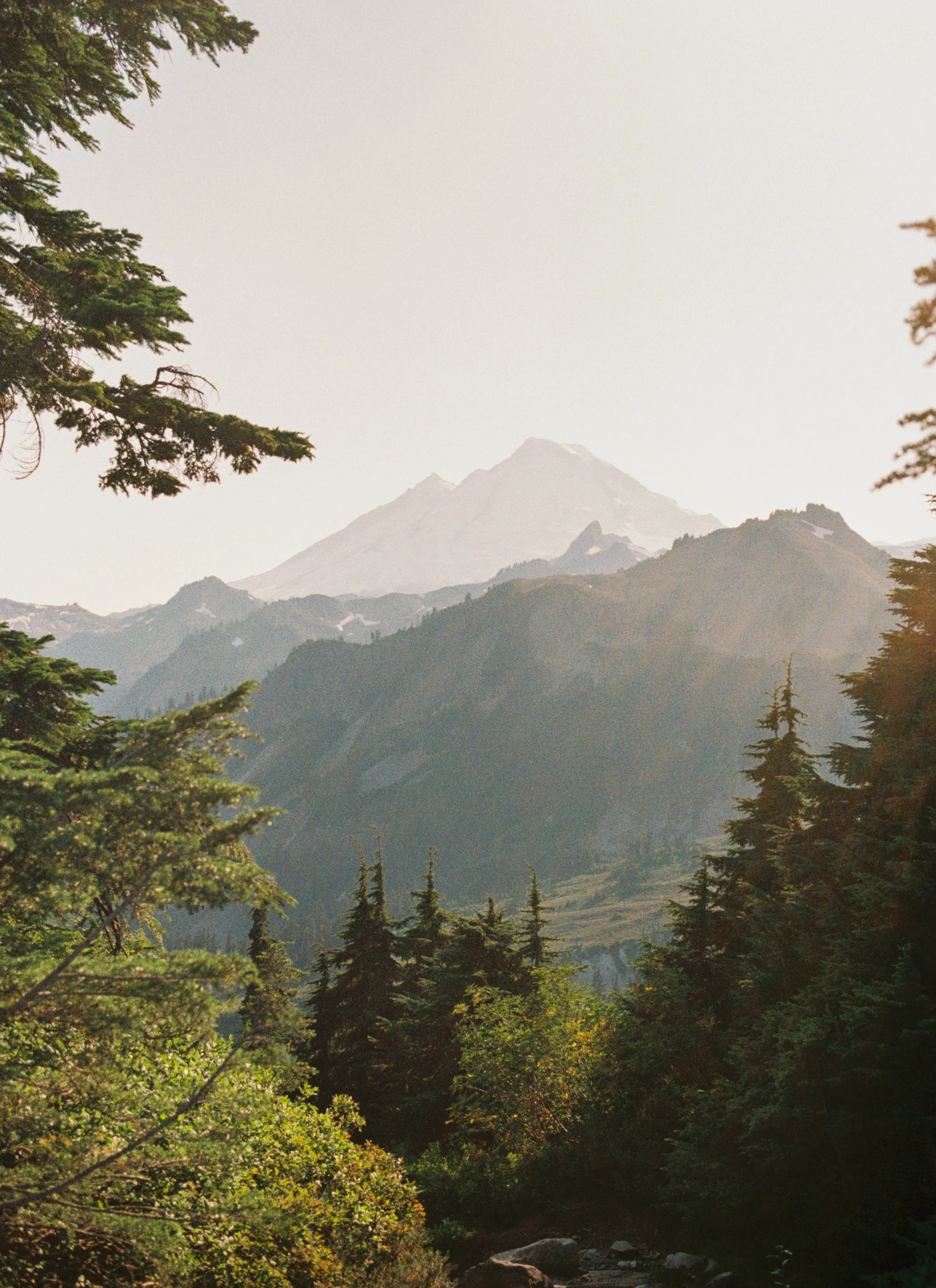 A mountain landscape with trees in the foreground and a snow-capped peak in the background.